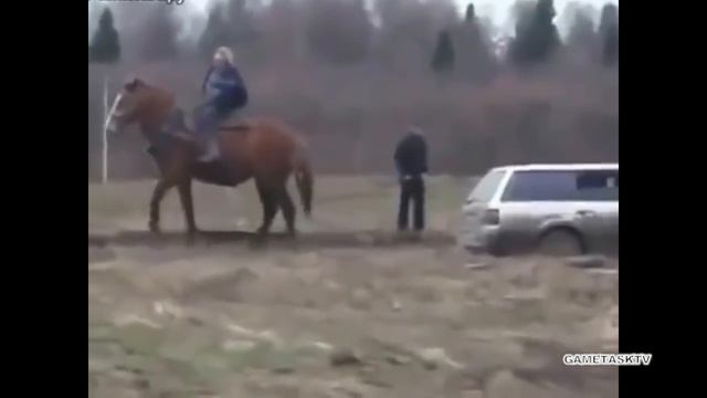 На что способна одна лошадиная сила? смотреть онлайн