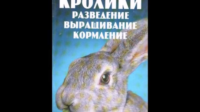 «Больше науки умнее руки...» смотреть онлайн