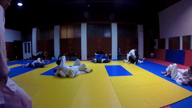 Взрослые учат азы Judo. Тренировки по Дзюдо. Дзюдо с ноля.  柔道のトレーニング。一から柔道。Judo Training
