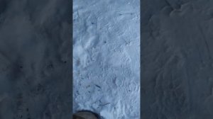 Редукторный стартер на ЗИЛ 131 бензин