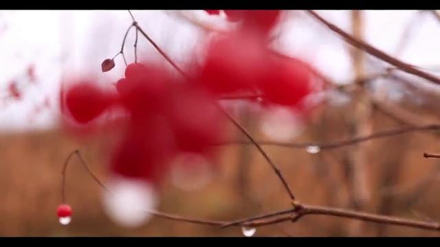 test video eos 70d ef-s 18-55 is stm смотреть онлайн