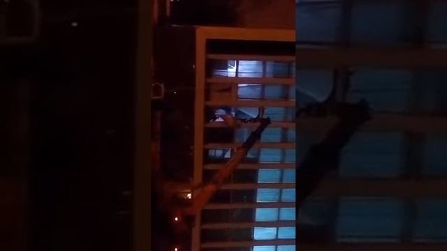 Дельфинарий спб