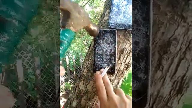 как позвонить смотреть онлайн