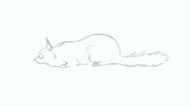Cat | Кошка смотреть онлайн