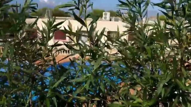 ?Майорка! Вилла с отличным видом на море, выгодное расположение, близко море, пляжи, красивые бухты смотреть онлайн