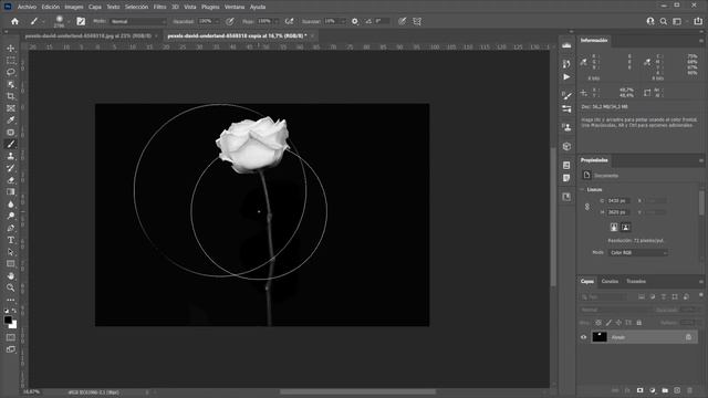 Todo sobre la aceleración gráfica (GPU) en Photoshop, Camera Raw y Lightroom Classic смотреть онлайн