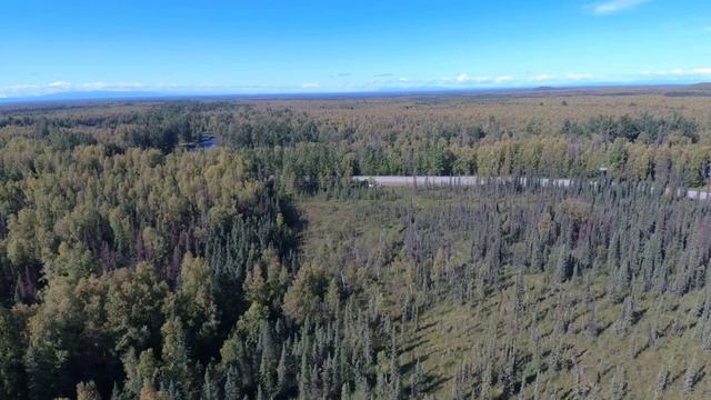 80 +_- Acres FOR SALE - Willow, Alaska