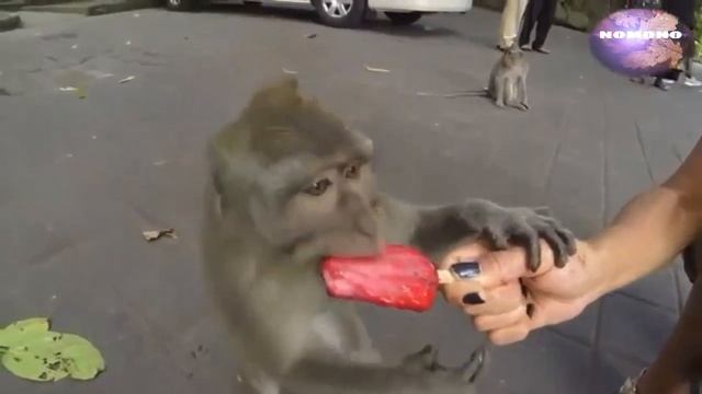 笑着享受最有趣的镜头? смотреть онлайн