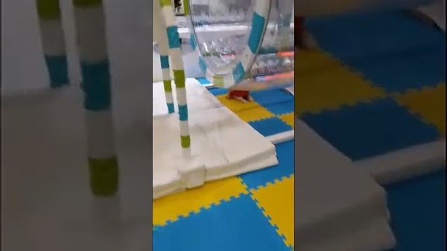 Арт Молл Киев#Kids`Will#идем на детскую площадку#(выпуск#1) смотреть онлайн