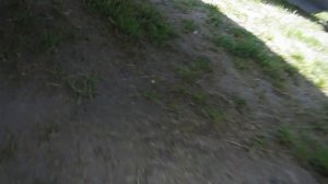 Антикор Датсун Он До мовили и После