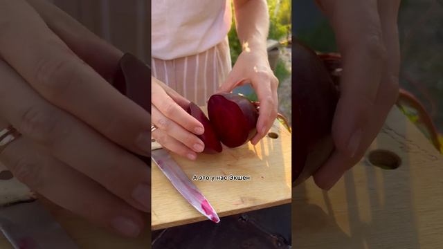 Сахарная свекла Экшен??эксперты в шоке! Дегустация Усадьба-Семена | usadba-semena.ru смотреть онлайн