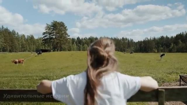 Волк учуял что из могилы доносится детский плач. Он начал рыть яму, а когда откопал, все ОБОМЛЕЛИ.. смотреть онлайн