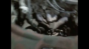 уплотнительное кольцо выходного патрубка рено логан 8 клапанов + кат№№