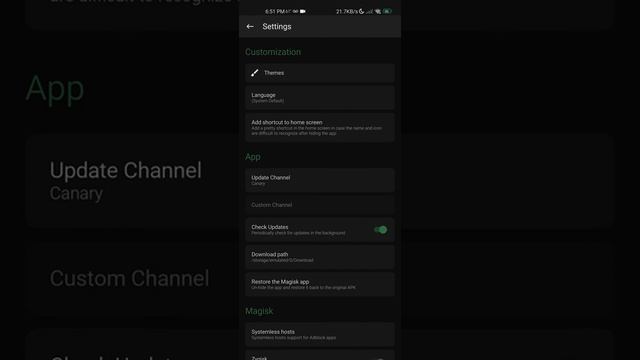 Passing Safetynet with Zygisk (Magisk) | MIUIMiX and Other ROMS смотреть онлайн