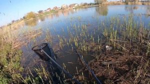 Рыбалка на Кубани. Рыбалка в апреле. Ловля карася в нерест. Убийца карася.Лайфхак.