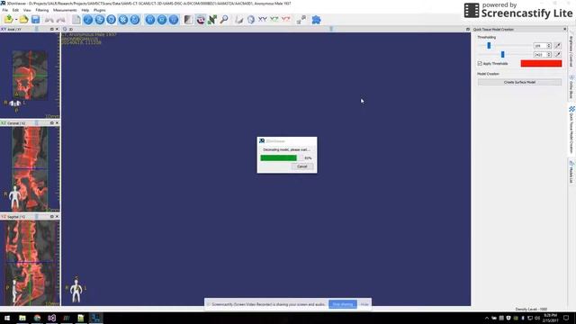 DICOM Processing смотреть онлайн