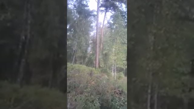 Горы в Красноярске смотреть онлайн