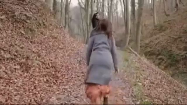 Как Ферхат защищает Асли👨💼👩#ферхат#асли# смотреть онлайн