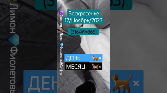 #Замок Воскресенье 12/Ноябрь/2023 (316/49=365) ♏️Скорпион?Лимон?ФиолетовыйСапфир ГОД×? МЕСЯЦ?×ДЕНЬ? смотреть онлайн