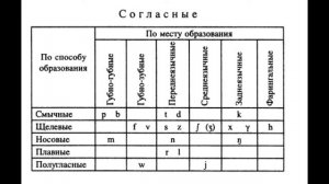 Нидерландский язык