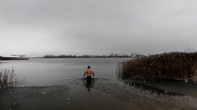 Морские котики или подготовка деда мороза смотреть онлайн