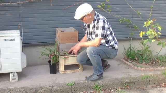 日本蜜蜂を飼ってみよう　庭先養蜂　趣味の養蜂　週末養蜂　家庭養蜂　蜜蜂との暮らし　待受け箱　日本ミツバチ飼育方法　のんびりおやじJHB