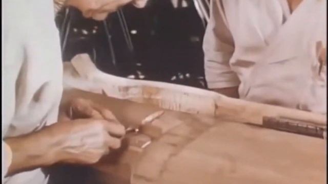 Vettecademy S2 Episode 4: Clay Modeling смотреть онлайн