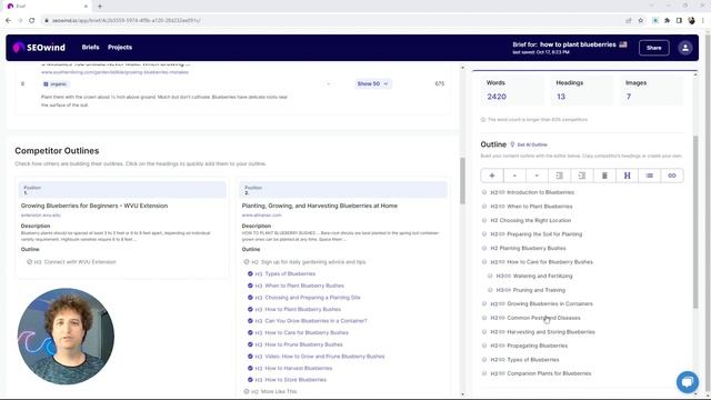 SEOwind AI Outline v2.0 смотреть онлайн