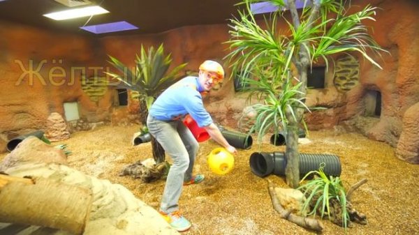 Блиппи идёт в зоопарк - Блиппи на Русском _ Изучай этот Мир вместе с Блиппи - Blippi