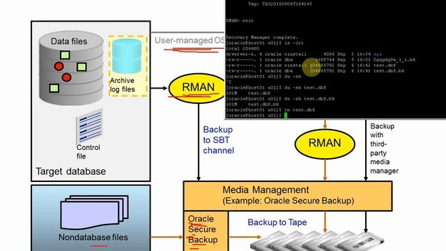 [Oracle 12C] - OCP 12C Using the RMAN Recovery Catalog full Less 04 | Học lập trình смотреть онлайн