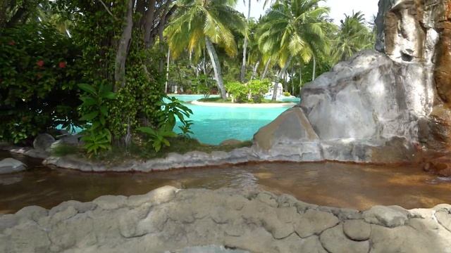 Мальдивы | Sun Island Resort and SPA | Бассейн Инфинити | Летучие лисицы смотреть онлайн