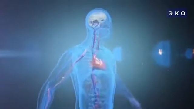 Круговорот воды в организме смотреть онлайн