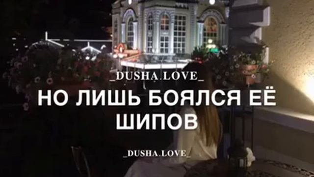 Музыка роза🌹 смотреть онлайн