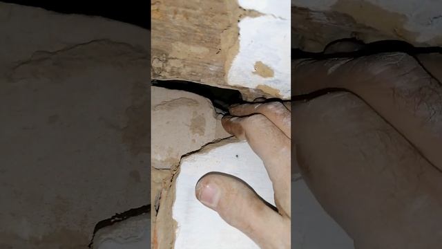 для чего нужен тепловизор смотреть онлайн