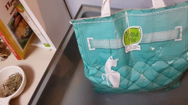 Уборка клетки у шиншиллы!?? смотреть онлайн