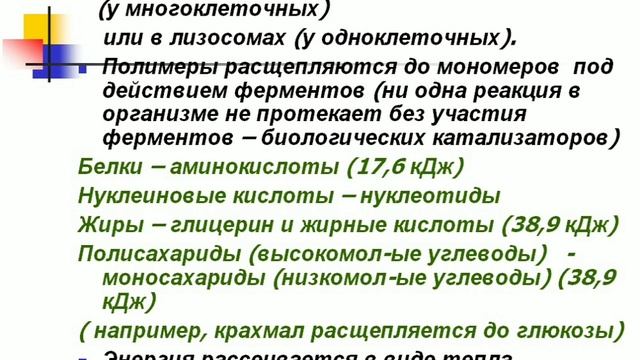 ОБМЕН ВЕЩЕСТВ И ЭНЕРГИИ смотреть онлайн