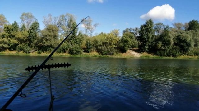 р Воронеж начало сентября смотреть онлайн