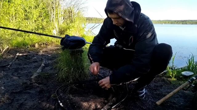 ЛОГОВО ГИГАНТСКИХ КАРАСЕЙ!!! РЕКОРДНЫЙ КАРАСЬ!!! Карась больше 1кг.! Big crucian! Record! Big fish! смотреть онлайн