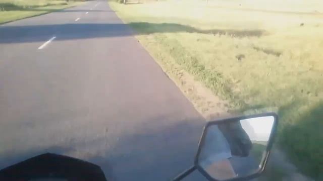 Racer Panther RC250GY-C2