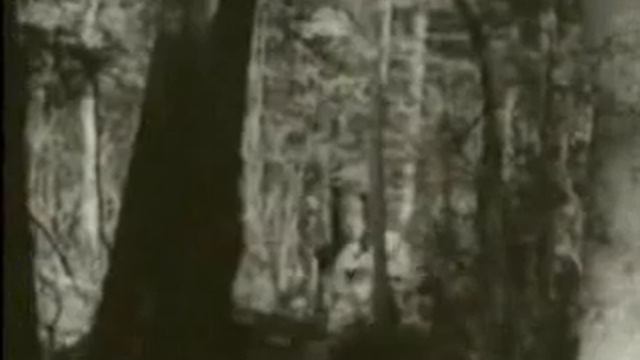 La chute de Sikhote-Alin смотреть онлайн
