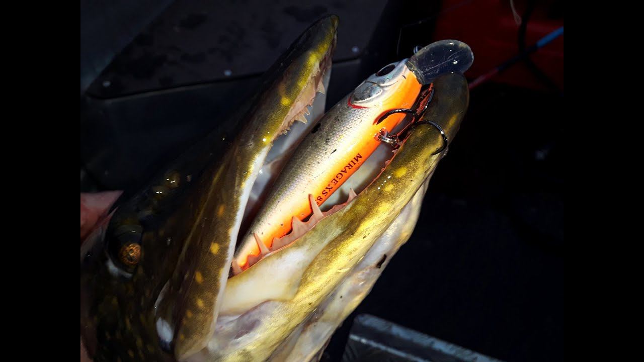 Лучшие и худшие копии Страйк, Косадака, Тсу Еки, ALL Blue Часть 3 смотреть онлайн