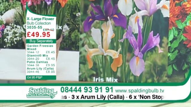 X Large Flower Bulbs Collection смотреть онлайн