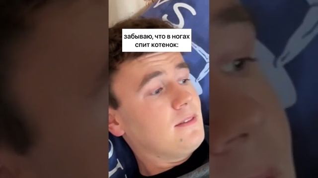 когда забыл, что в ногах спит кот смотреть онлайн