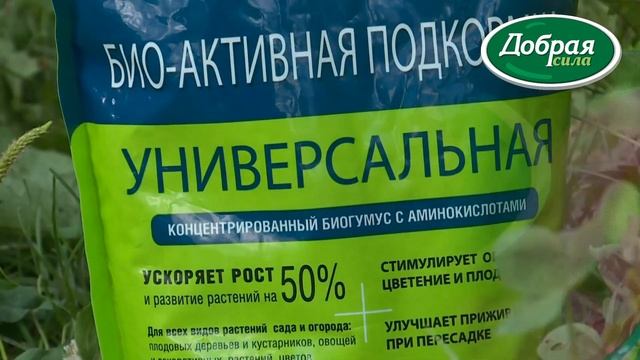 Если забыл подкормить свеклу - биоактивная подкормка для овощей и ягод Добрая Сила смотреть онлайн