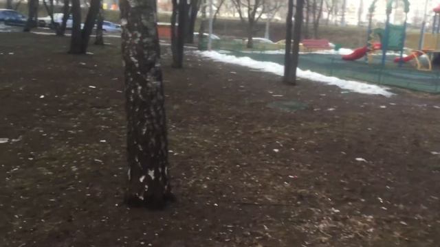 Снеговик растаял, 18 января 2020 смотреть онлайн