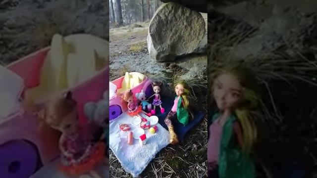 Пикник у Поющего Камня ) Куклы Ever After High и Enchantimals на природе смотреть онлайн