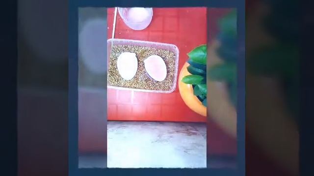 3D форма из Киндер сюрприза, мыло к Пасхе- Яйцо 3D смотреть онлайн