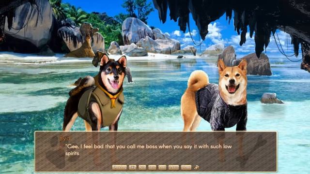 A Summer with the Shiba Inu #06 - Tropical Fight смотреть онлайн