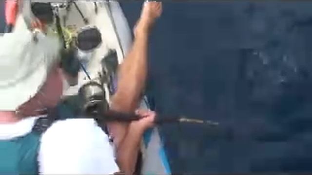 extreme kayak fishing australia, kayak attacks shark смотреть онлайн