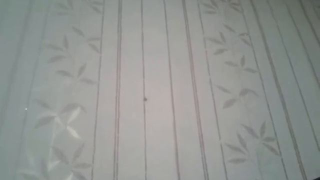 Паук на стене смотреть онлайн